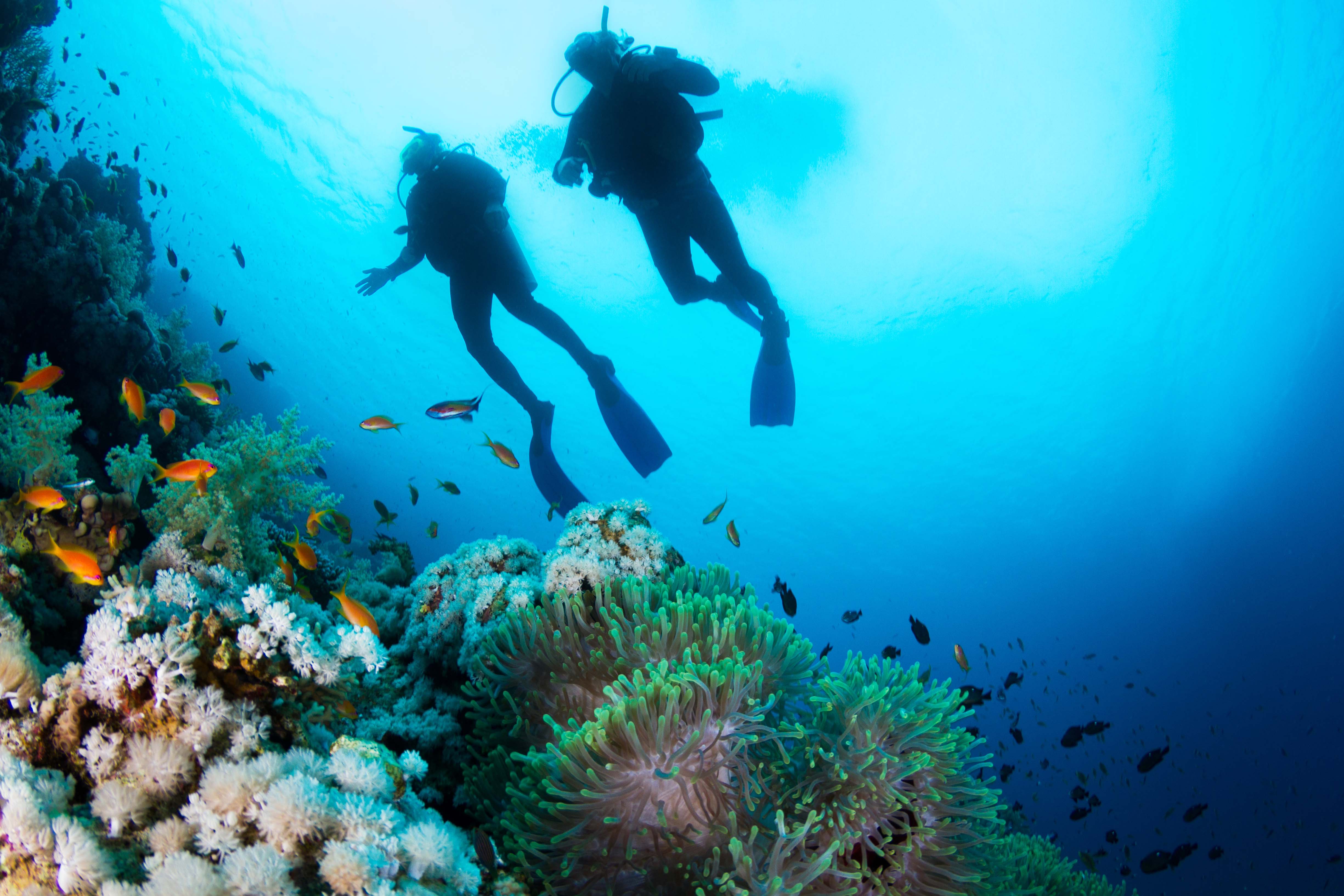 scuba-diving-holidays-for-beginners-top-12-places