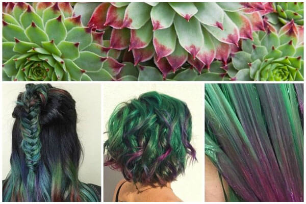 Succulent Hair and Nail, Tren Rambut dan Kuku Kekinian: Yay or Nay?