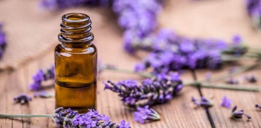 8 Manfaat Ajaib dari Minyak Esensial Lavender