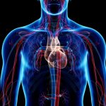 Gangguan Metabolisme Bisa Menyebabkan Penyakit Ini, Ladies-cover