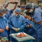 Katie Stubblefield, Penerima Donor Wajah Termuda-cover
