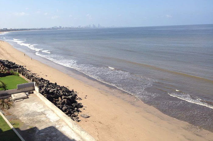Pembersihan Besar-besaran Pantai Ini Berhasil Membuat Kura-Kura Kembali Setelah 20 Tahun