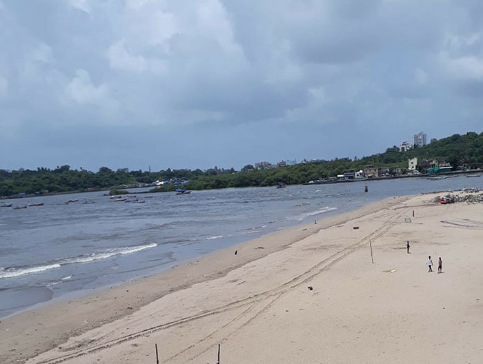 Pembersihan Besar-besaran Pantai Ini Berhasil Membuat Kura-Kura Kembali Setelah 20 Tahun