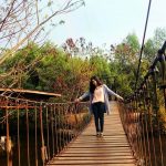 Deretan Wisata Alam di Jakarta, Alternatif Liburan Sejuk Tak Jauh dari Ibu Kota-cover