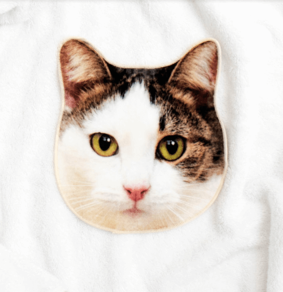 Handuk Unik dengan Bentuk Wajah Kucing  dan Anjing Portal 