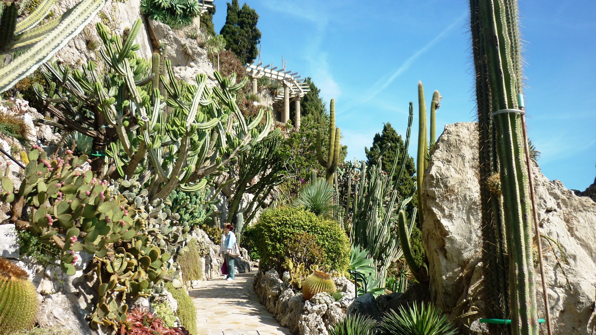 Ботанический сад Монако