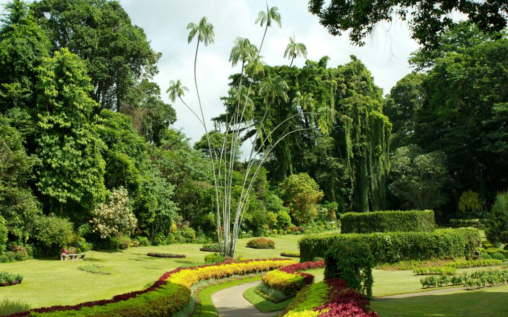 Deretan Botanical Garden Paling Indah di Dunia