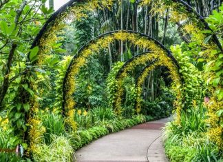 10 Taman Bunga Terindah Di Dunia