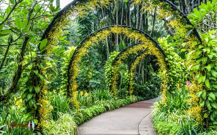 Deretan Botanical Garden Paling Indah di Dunia