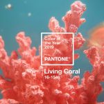 Living Coral Menjadi Pilihan Pantone Color of the Year 2019