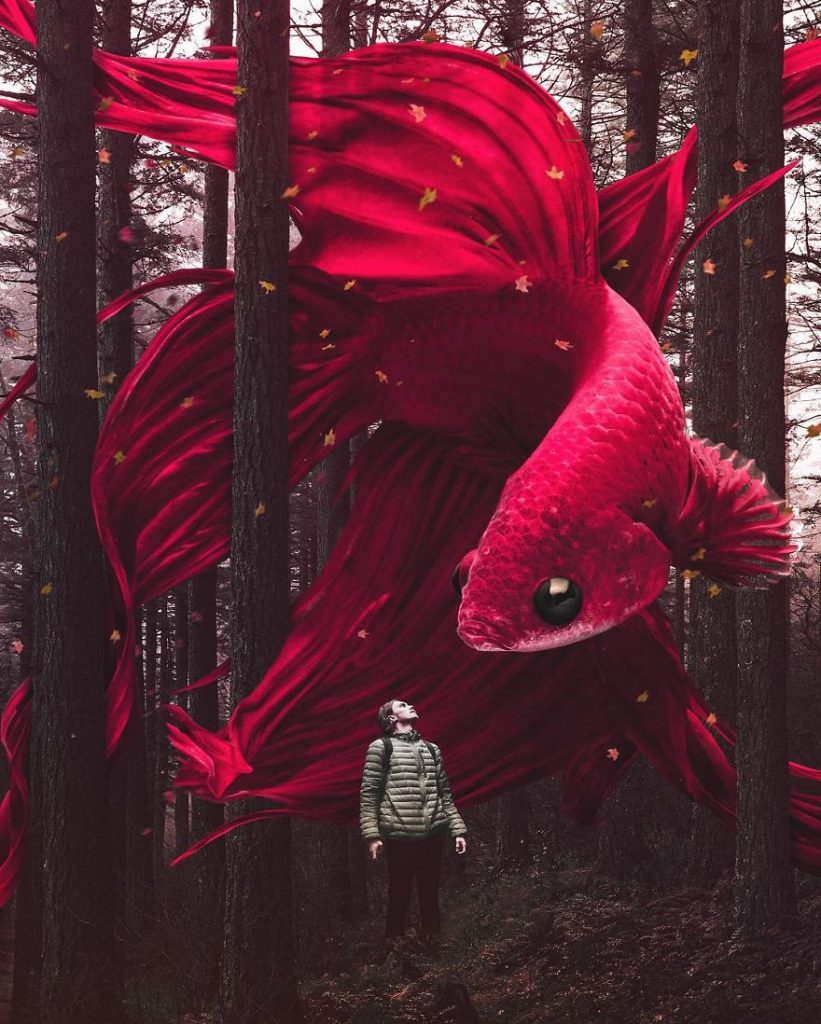 10 Manipulasi Foto Surrealis Karya Zulkarnain Ismail