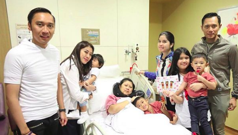 Inilah Gejala-Gejala Kanker Darah, Penyakit yang Menggerogoti Ibu Ani Yudhoyono