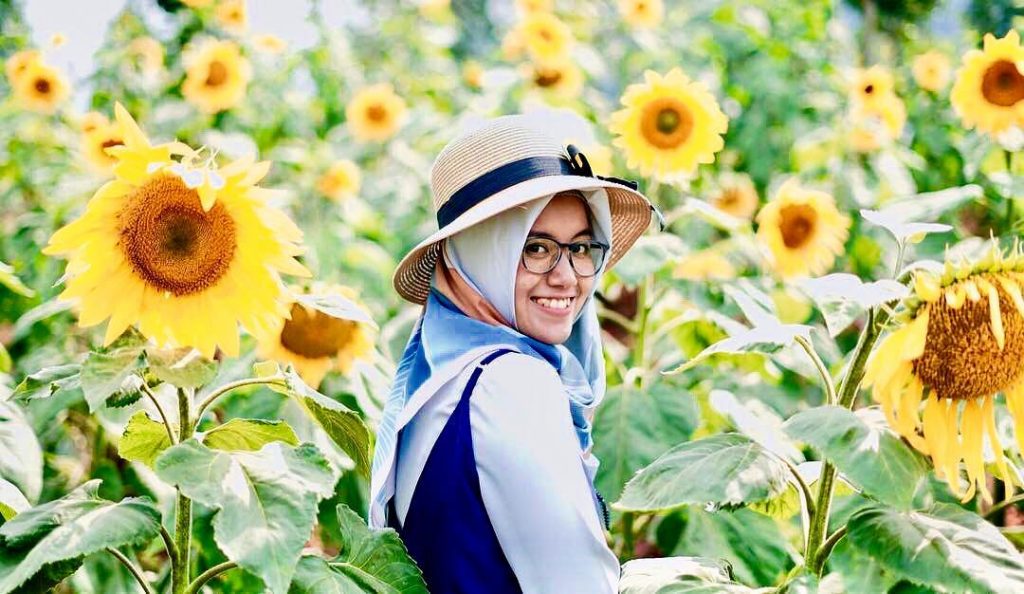 Wisata Bunga Matahari di Jawa Timur, Tak Perlu Jauh-jauh ke Saraburi Thailand