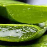 aloe-2163120_1280