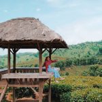 Perkebunan Teh dengan Spot Instagenic di Jawa Timur, Bikin Traveling Tambah Gencar