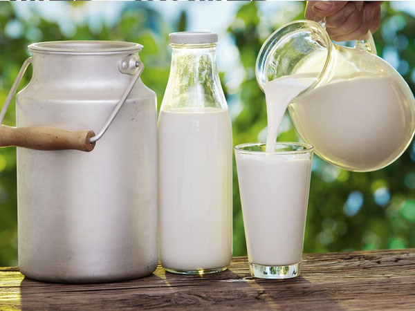 Susu Skim vs Susu Murni, Mana yang Lebih Sehat?