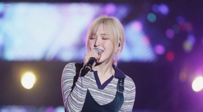 Wendy Red Velvet dan Berbagai Kpop  Idol  yang Terlihat 