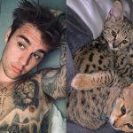 Justin Bieber dan PETA Berseteru Mengenai Pembelian Anak Kucing $35,000