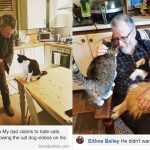 Potret Orang-orang yang Nggak Suka Hewan Peliharaan, Tapi Malah Nempel Banget!-cover