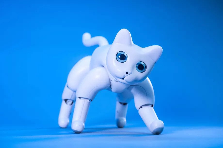 Project MarsCat, Robot Kucing Masa Depan