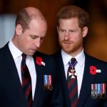 Queen Elizabeth Minta Pangeran William dan Pangeran Harry Terlihat Akur Di Acara Mendatang