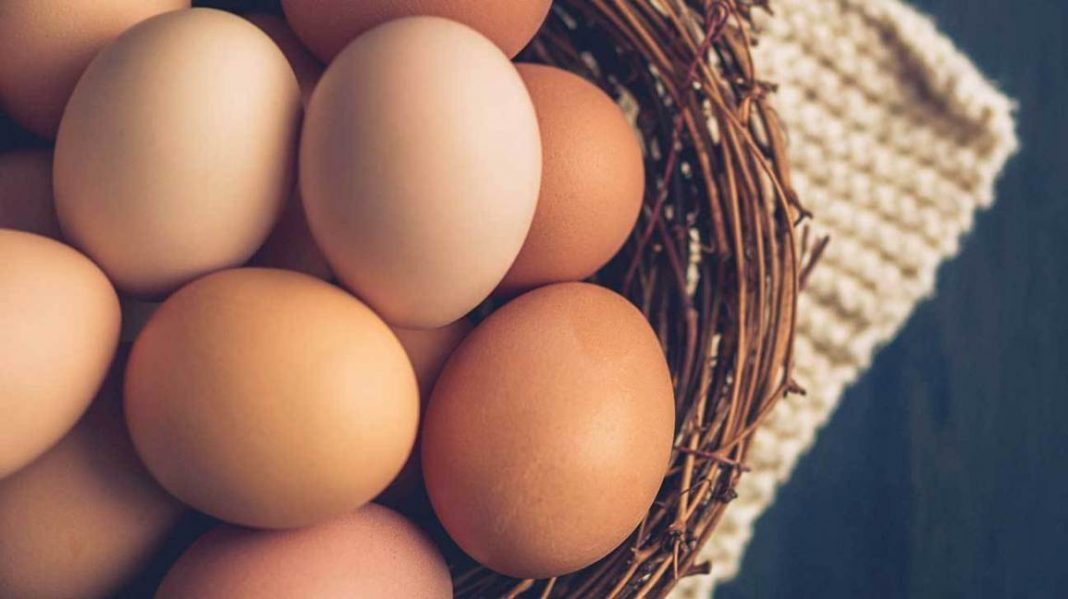 Batasi Asupan Telur Setiap Harinya, Begini Kata Para Ahli
