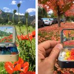 Seniman Ini Rekam Pemandangan Alam dalam Sebuah Miniatur