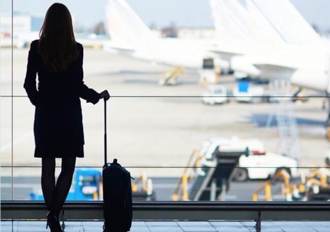 5 Maskapai Penerbangan yang Izinkan Bawa Hewan Peliharaan di Kabin