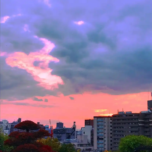 5 Tempat Terbaik untuk Melihat Sunset di Tokyo, Jepang