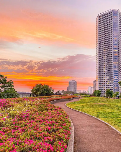 5 Tempat Terbaik untuk Melihat Sunset di Tokyo, Jepang