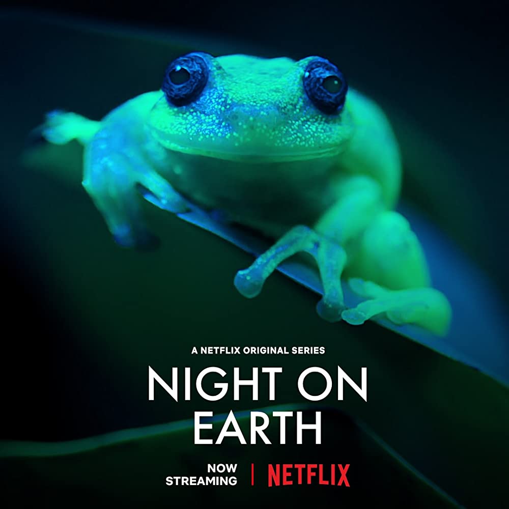 Series Netflix Rekomendasi tentang Alam