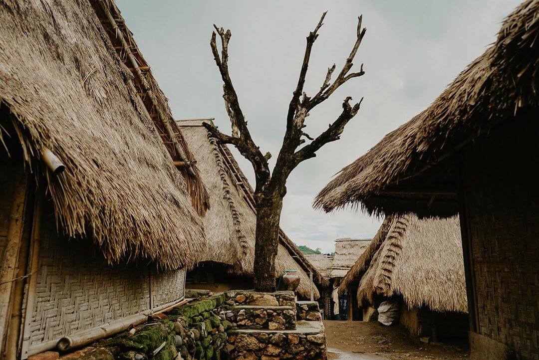 Desa Wisata Sade Tempat Tinggal Suku Sasak Lombok