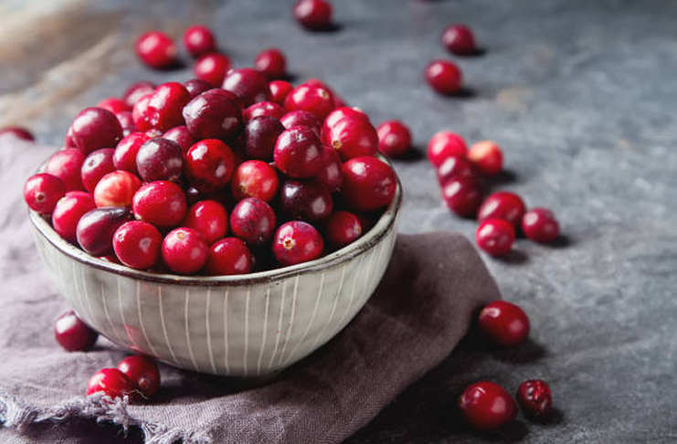 Fakta tentang buah cranberry yang banyak tumbuh di Amerika Utara