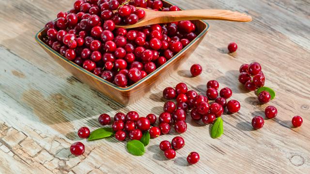 Fakta Buah Cranberry yang Tumbuh Banyak di Amerika Utara