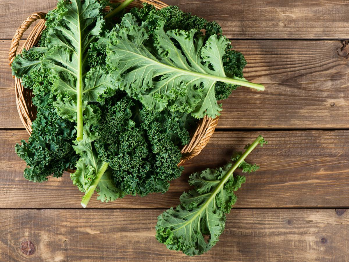 Sayuran Hijau Kale, Makanan Super yang Kaya Akan Nutrisi