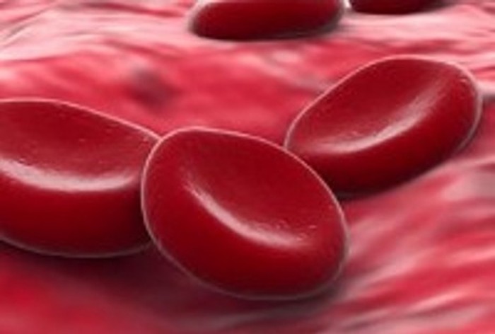 Transfusi Sel Induk Darah yang Menjadi Revolusi Baru Dunia Kedokteran