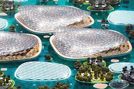 Dubai Reefs Proyek Restorasi Laut Terbesar di Dunia