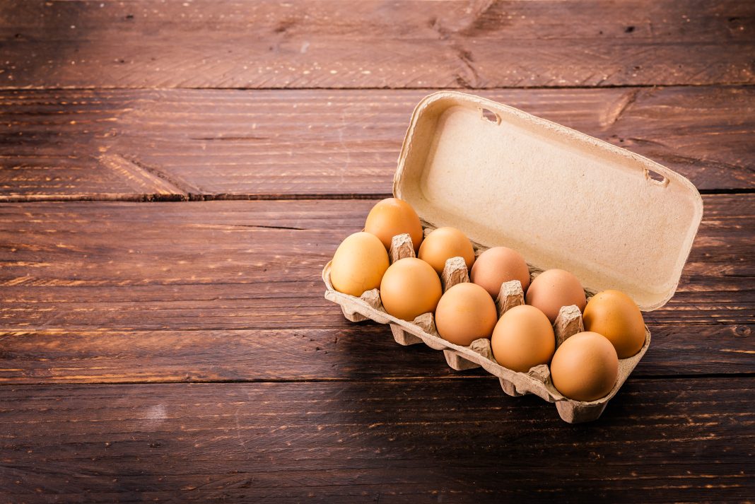Perhatikan! Seperti Inilah Tanda Telur yang Sudah Tidak Aman Dikonsumsi, Menurut USDA