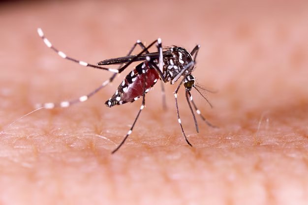 2 Alasan Mengapa Nyamuk Selalu Menggigit Pergelangan Kaki Terlebih Dahulu